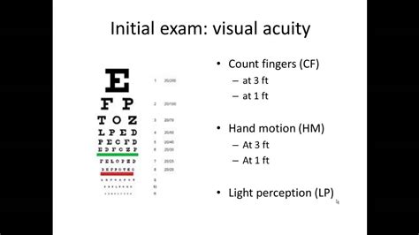 eye examination summary explained